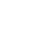 Software Development