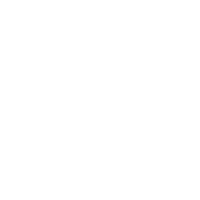 Software Development